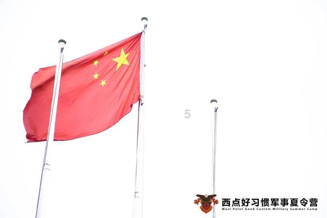 逗小猴开心系列186